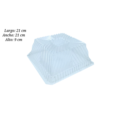 MOLDE TERMOFORMADO BROCHES Y DIADEMAS GDE ST605