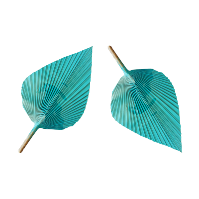 PALMA COLOR TURQUESA