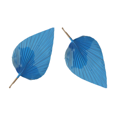 PALMA COLOR AZUL CELESTE