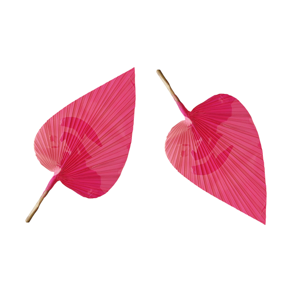 PALMA COLOR FUCSIA
