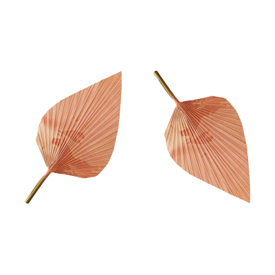 PALMA PALO DE COLOR ROSA