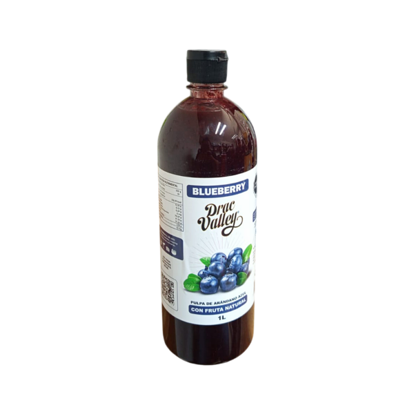 PULPA BLUEBERRY T/A DRAC VALLEY 12X1LT