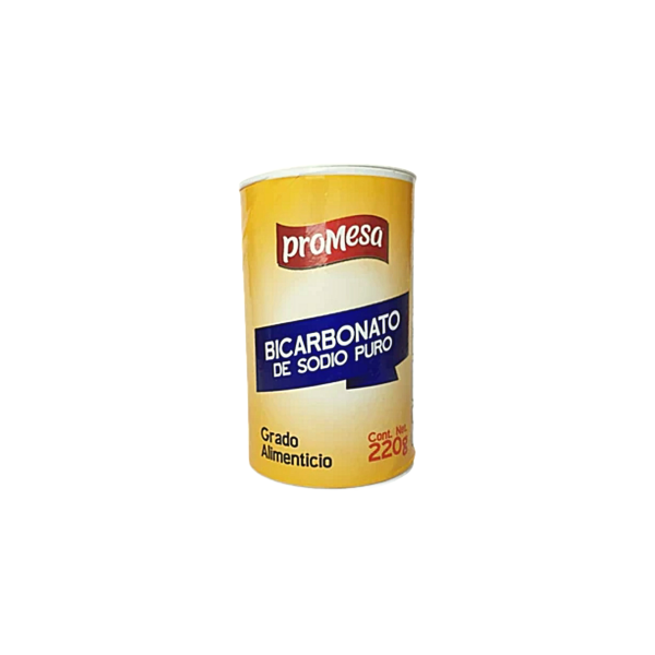 BICARBONATO PROMESA DGARI 50X220GR