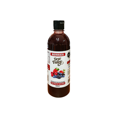 PULPA FRUTOS ROJOS T/A DRAC VALLEY 12X500ML