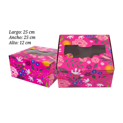 CAJA T/AMERICANO 25X25X12 C/VENT IMP GEN