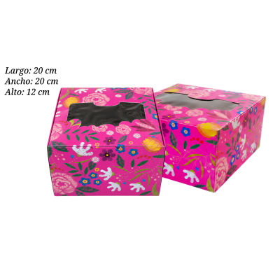 CAJA T/AMERICANO 20X20X12 C/VENT IMP GEN