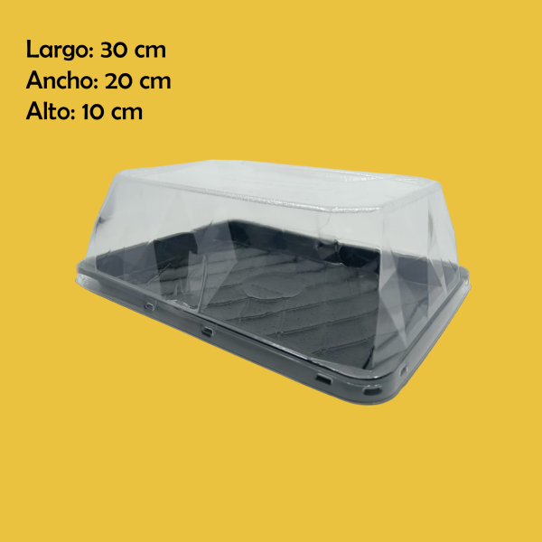 DOMO PARA PASTEL RECT 2.5KG GUA 30X20X10CM